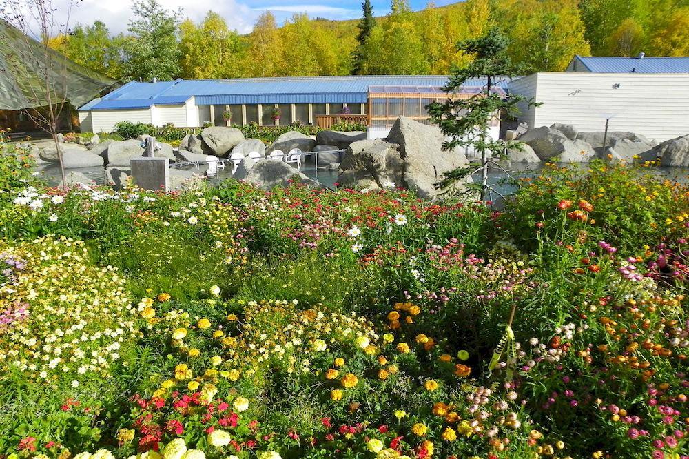 Chena Hot Springs Resort 페어뱅크스 외부 사진