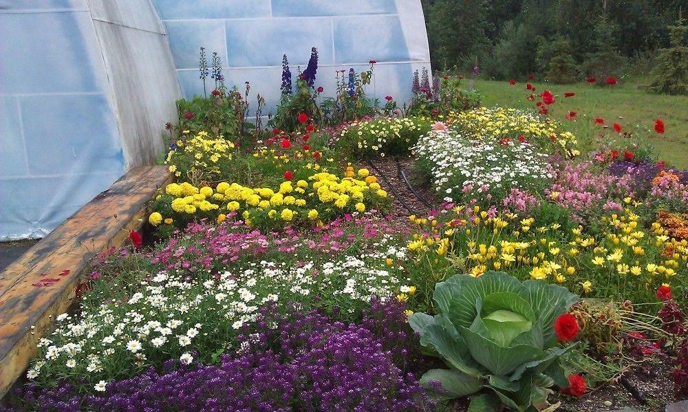 Chena Hot Springs Resort 페어뱅크스 외부 사진