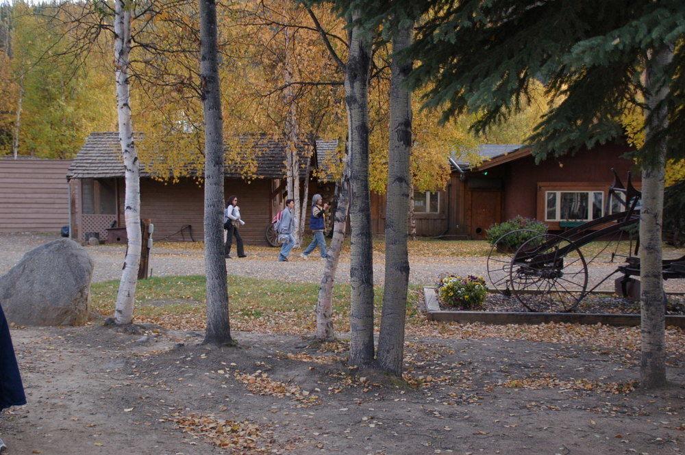 Chena Hot Springs Resort 페어뱅크스 외부 사진
