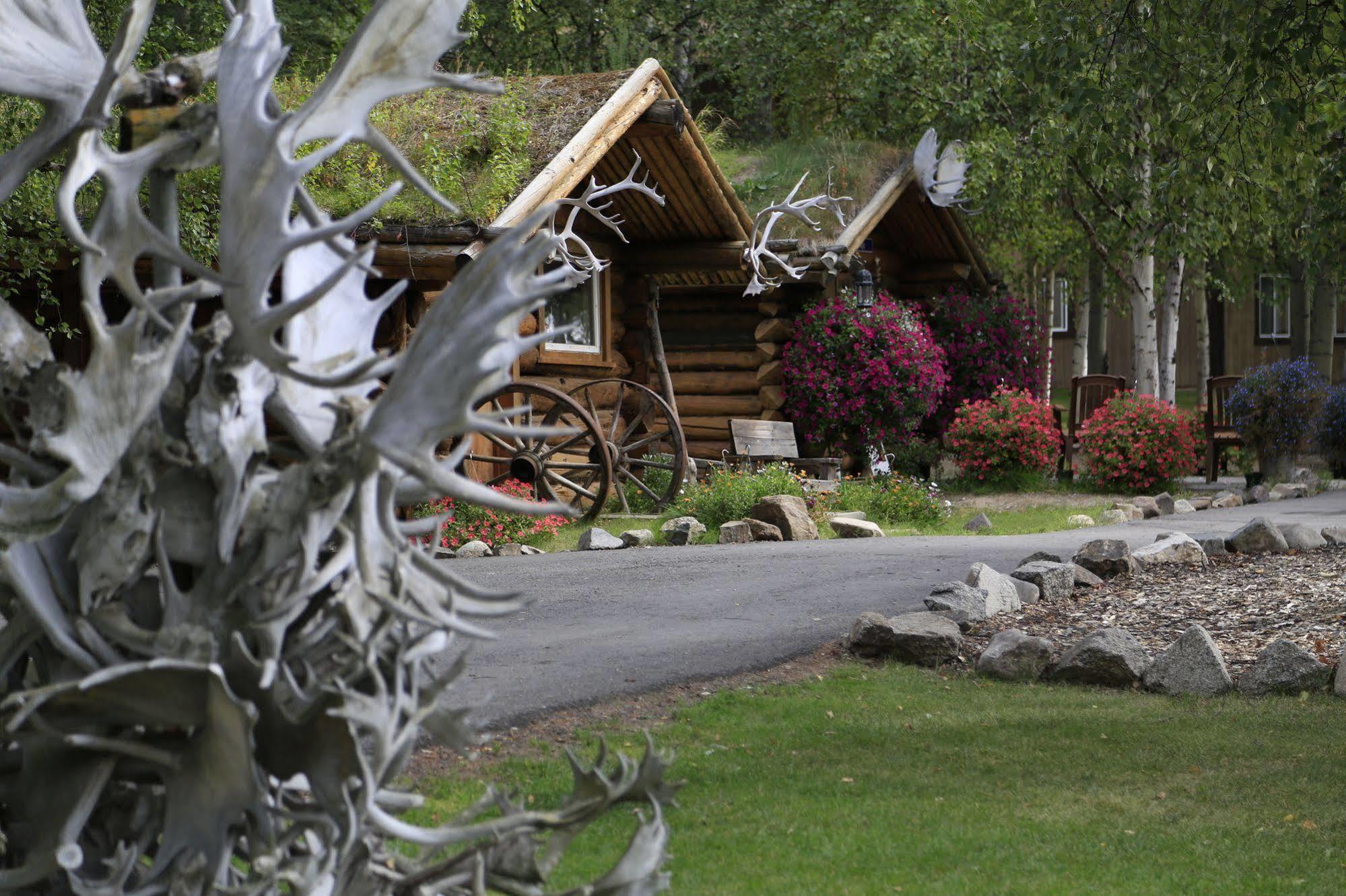 Chena Hot Springs Resort 페어뱅크스 외부 사진